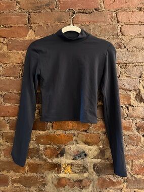 Aritzia Babaton contour mock neck top